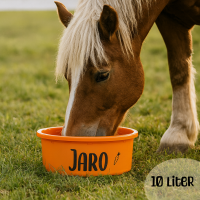 Futterschüssel Maxi