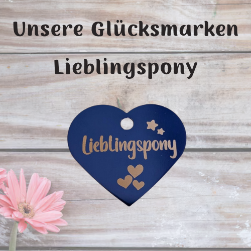 Lieblingspony