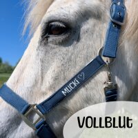 Halfter VOLLBLUT