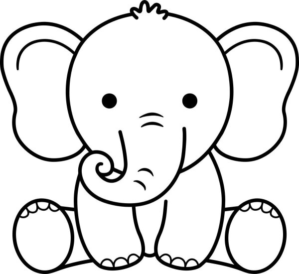 Elefant