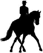 (14) Dressurpferd