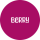 Berry